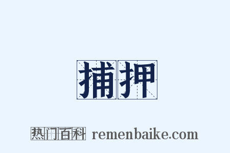 捕押是什么意思的图片